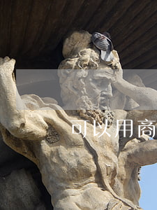 可以用商標(biāo)入股跟他人開公司嗎？